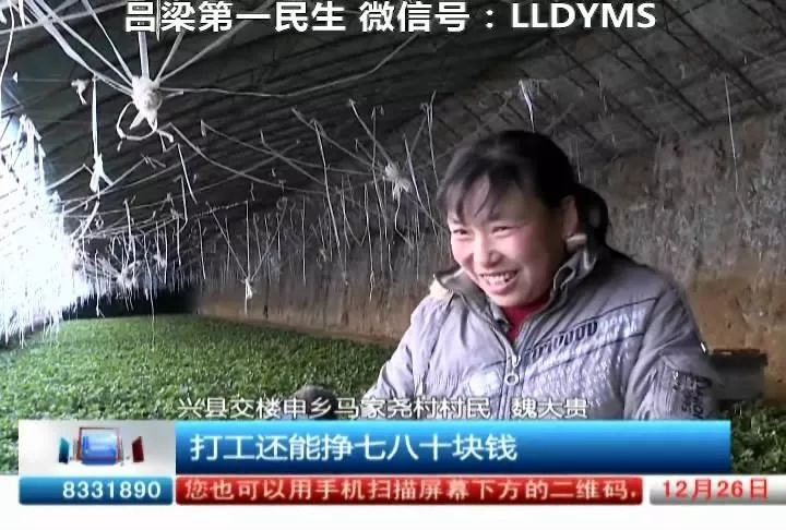 种植致富未来趋势_2021年种植致富前景_种植致富新项目