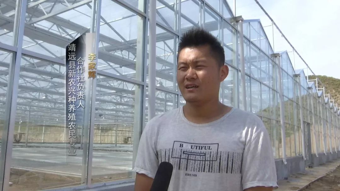 特色种植扶贫致富_扶贫致富项目有哪些_扶贫种植有什么项目