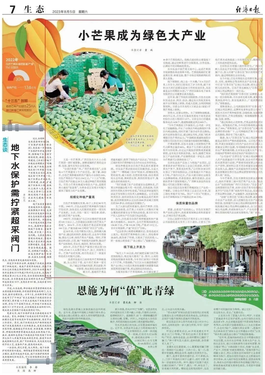 广西竹子最大生产地_广西种植竹子致富_广西竹子产量