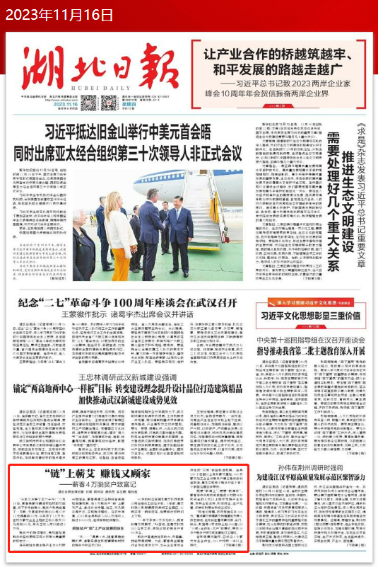 艾叶种植致富吗_致富种植艾叶怎么样_种艾叶赚钱吗