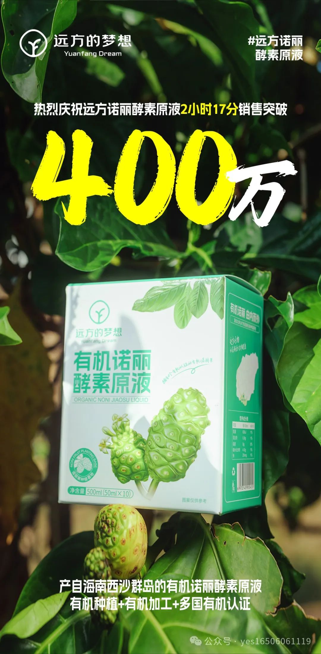视频野生种植地瓜技术教程_野地瓜栽培技术视频_野生地瓜种植技术视频