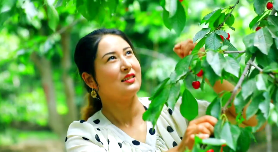 佩兰种植经济效益_佩兰种植效益_种植佩兰致富吗