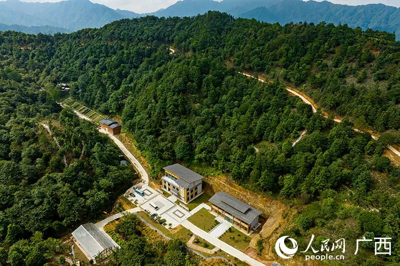 佩兰种植效益_致富种植佩兰怎么样_种植佩兰致富吗