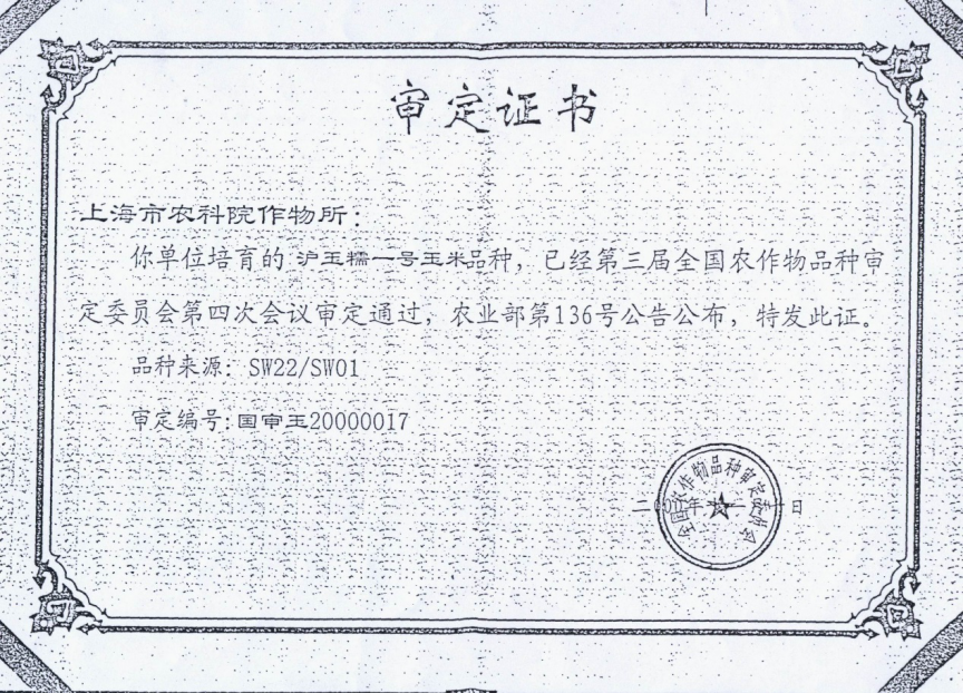 种植糯玉米致富_种植糯玉米的经济价值_糯玉米种植前景与销路