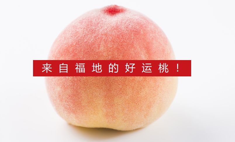 致富经刘光战桃苗价格_致富经刘光战桃苗价格_致富经刘光战桃苗价格