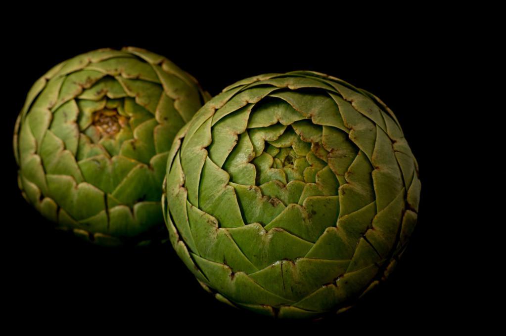 陕西野菜种植技术规程_陕西野菜种植技术和管理_陕西野菜种植技术