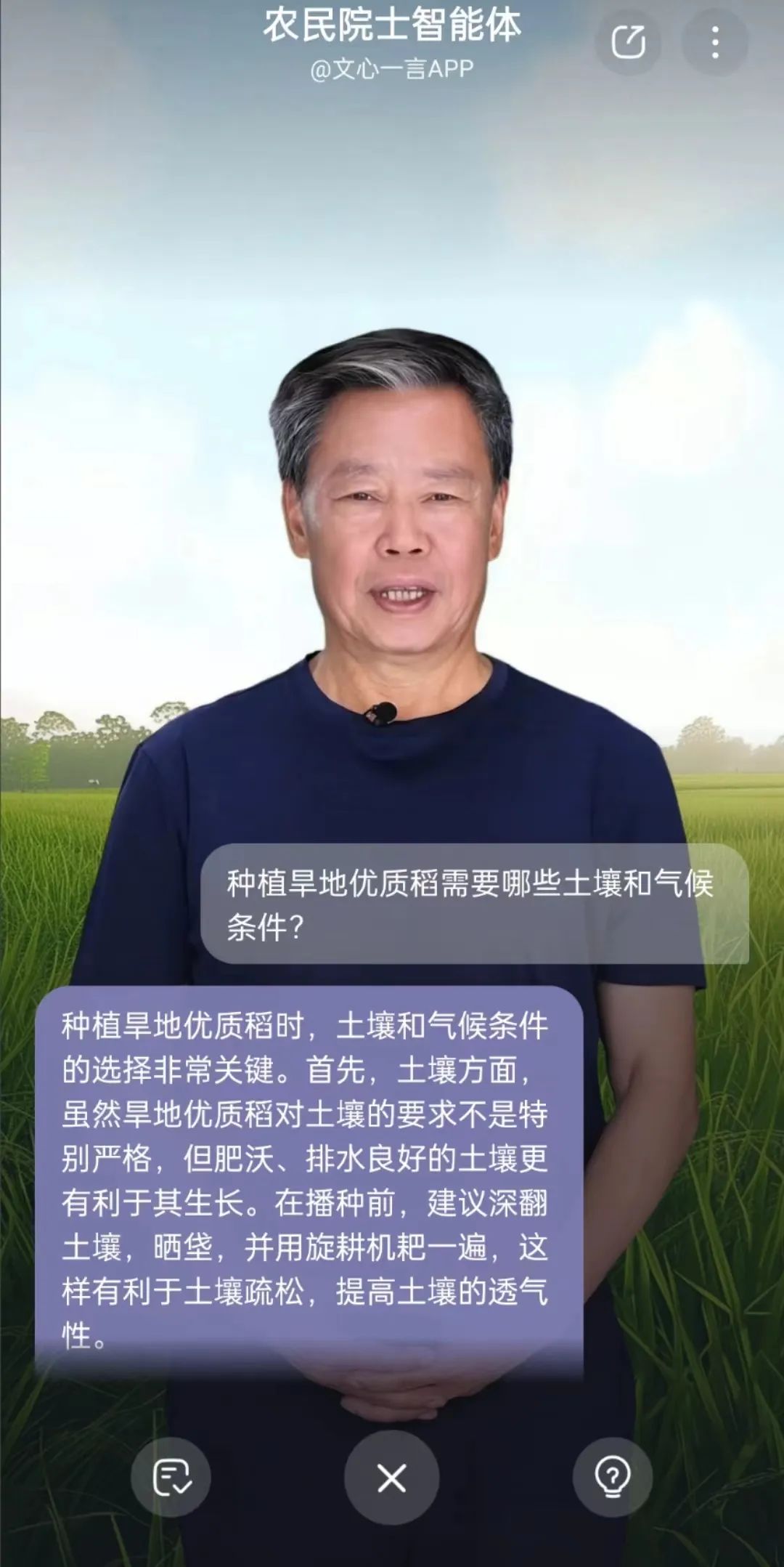 种植三七利润_种植药材三七_种植三七致富例子
