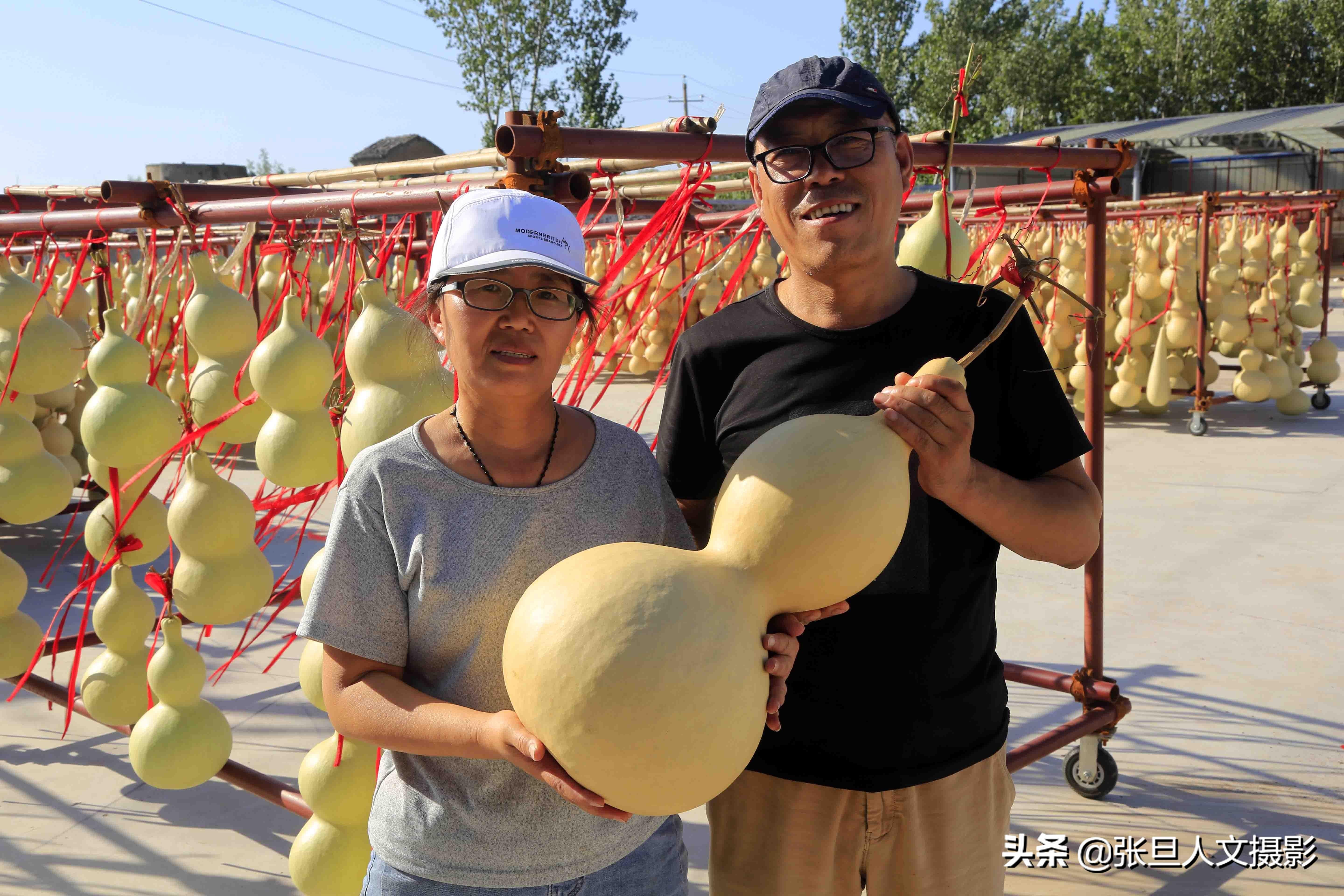52岁大叔去农村承包土地种植葫芦 带动村民走向致富路被称葫芦大王