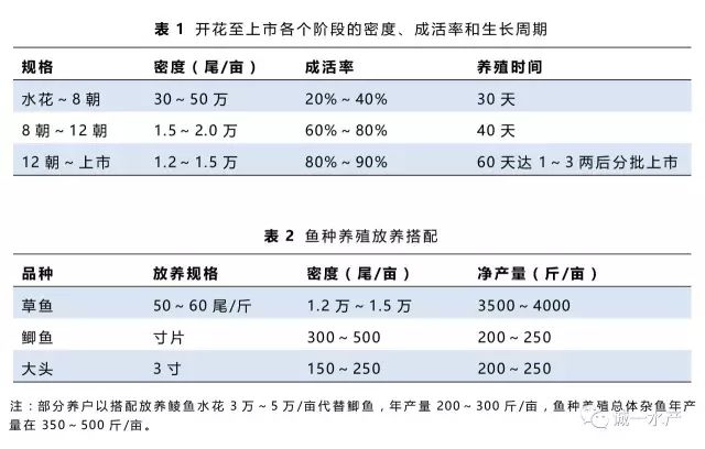 脆肉鲩的养殖技术_脆肉鲩的饲料在哪里买_脆肉鲩饲料配方