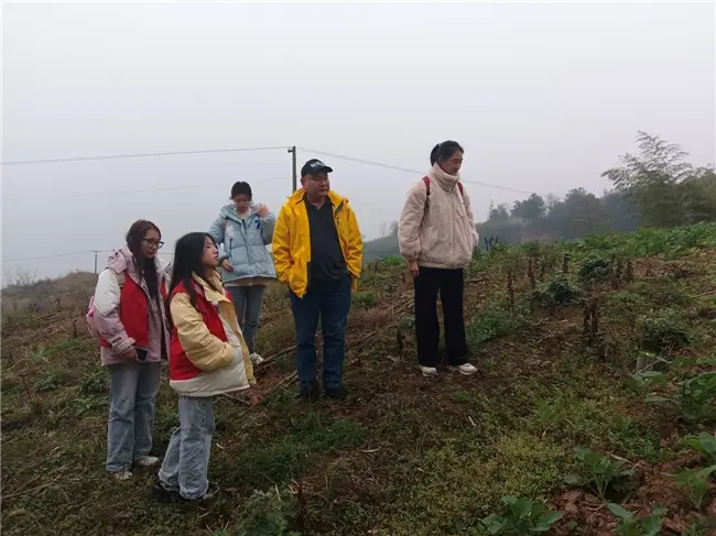 种植黄豆的技术_黄豆种植技术与方法_黄豆种植技术与时间
