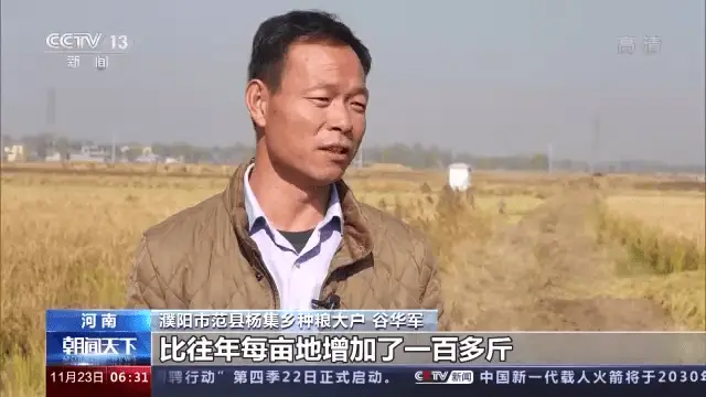 土壤改良+技术支持 盐碱地变“致富田”