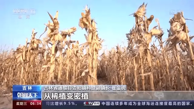 南皮种植致富蔬菜_南皮采摘_致富蔬菜种植南皮好不好