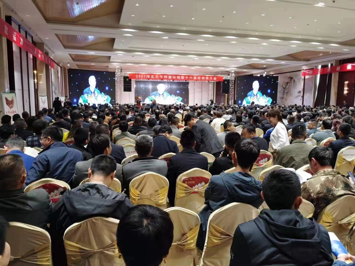 粉壳蛋鸡苗哪里有来出售_粉壳蛋鸡养殖技术_蛋壳粉喂鸡