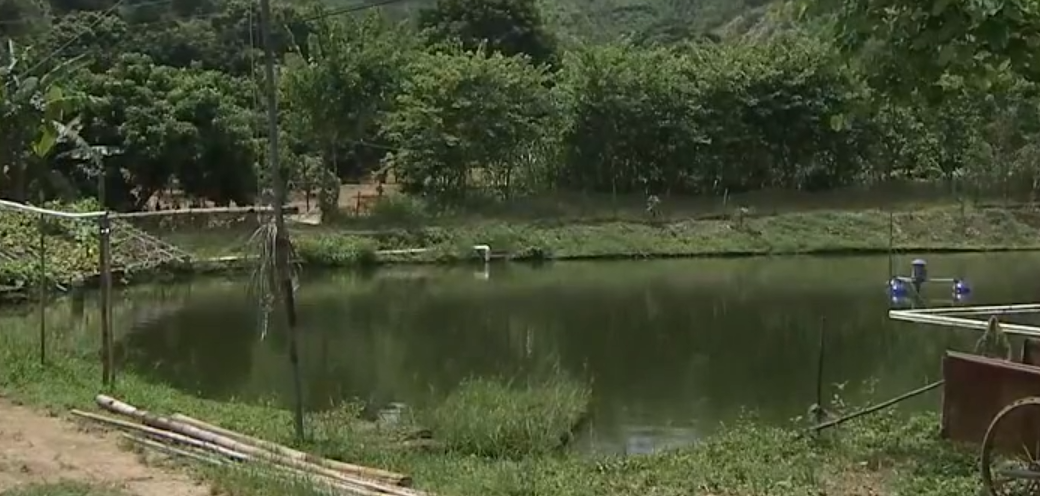 泥鳅养殖户抱团致富_泥鳅养殖致富的人_养殖泥鳅前景