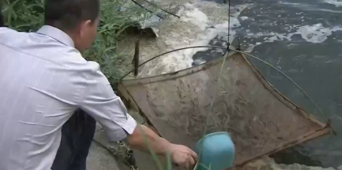 泥鳅养殖致富的人_泥鳅养殖户抱团致富_养殖泥鳅前景