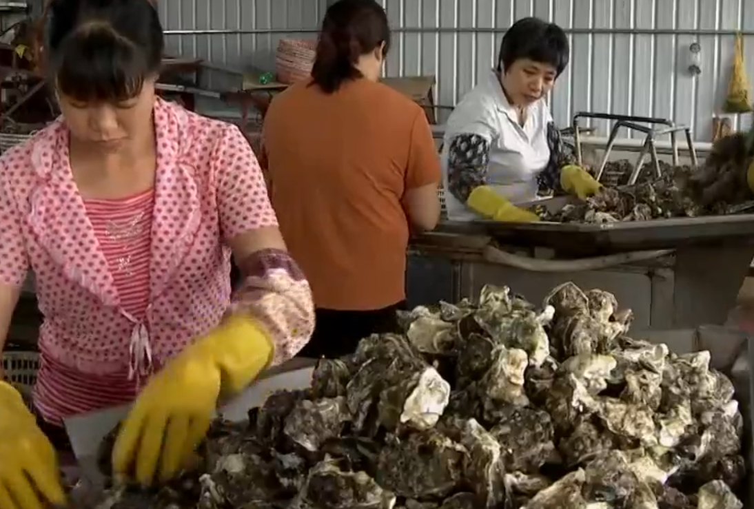 泥鳅养殖户抱团致富_养殖泥鳅前景_泥鳅养殖致富的人