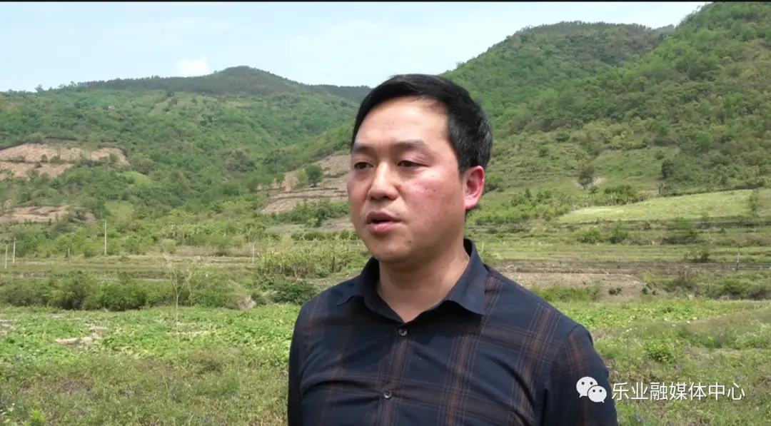 致富经果树种植视频_致富种植视频全集_种植致富果实视频