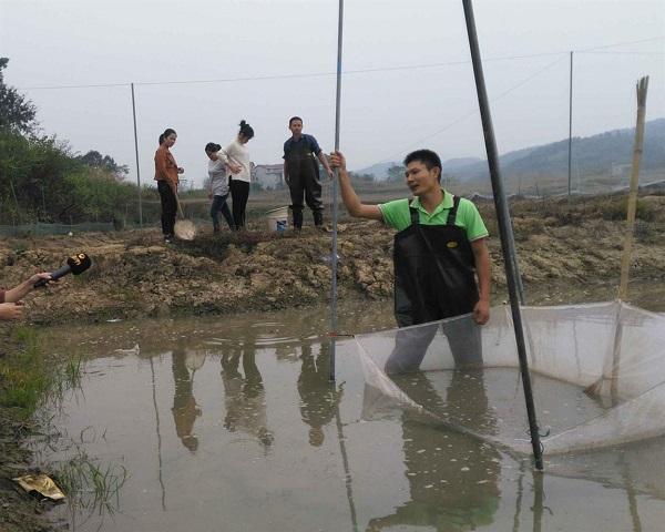 养殖泥鳅富豪_养殖泥鳅挣钱吗_泥鳅养殖致富的人