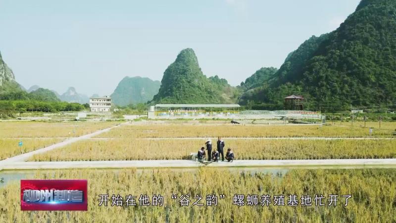 石螺养殖技术利润_养石螺丝赚钱吗_石螺蛳养殖技术