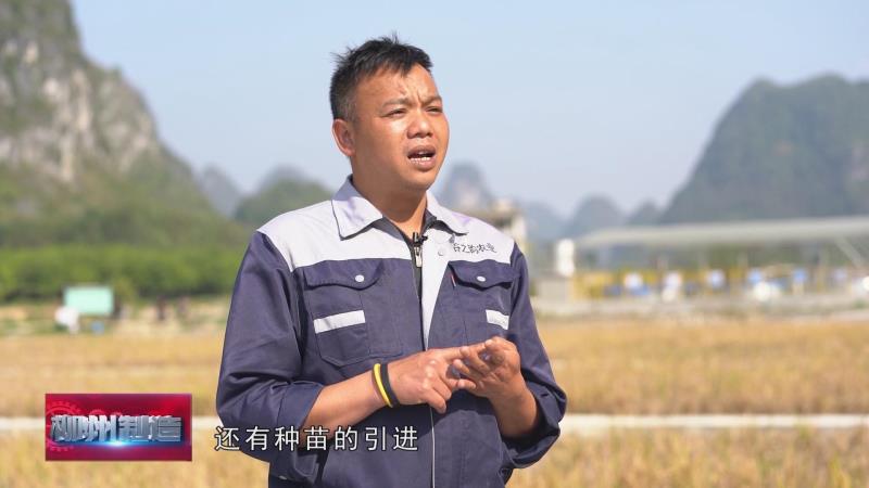 石螺蛳养殖技术_养石螺丝赚钱吗_石螺养殖技术利润