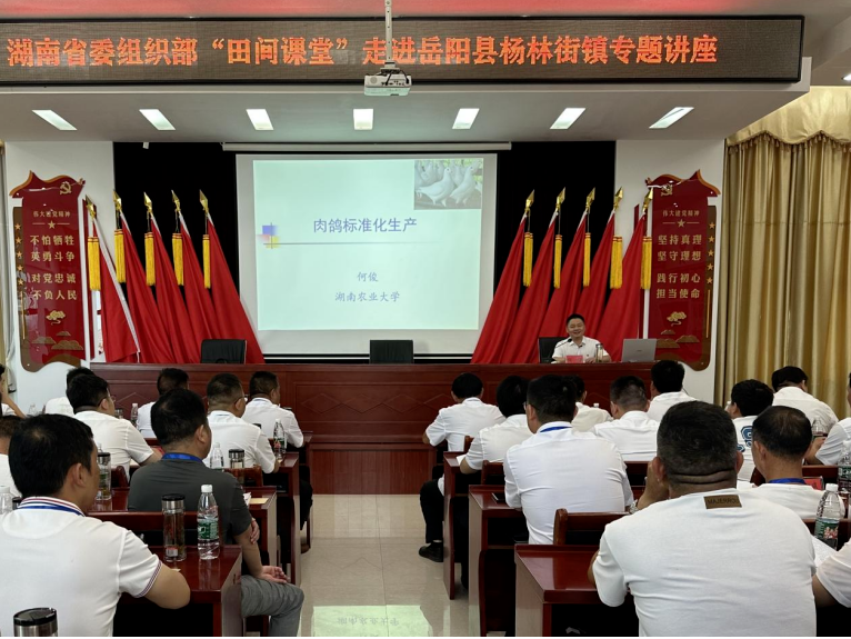 肉鸽养殖视频致富经_养殖肉鸽的前景如何_致富经肉鸽养殖技术