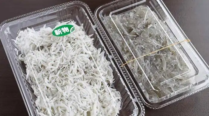 致富经 鳜鱼养殖_致富养殖鳜鱼视频_致富养殖鳜鱼图片
