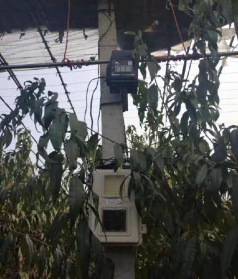 大棚桃的种植技术视频_大棚桃子种植技术视频_桃子大棚种植