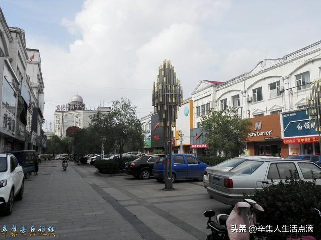 大棚桃效益怎么样_大棚桃的种植技术视频_大棚桃子种植技术视频