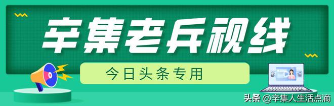 大棚桃效益怎么样_大棚桃的种植技术视频_大棚桃子种植技术视频