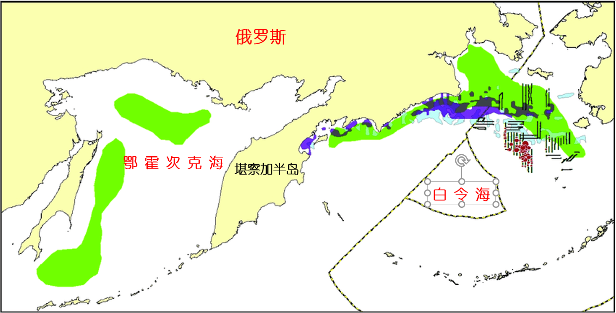 银鳕鱼养殖技术视频_养殖银鳕鱼多少钱一斤_银鳕鱼养殖方法技术