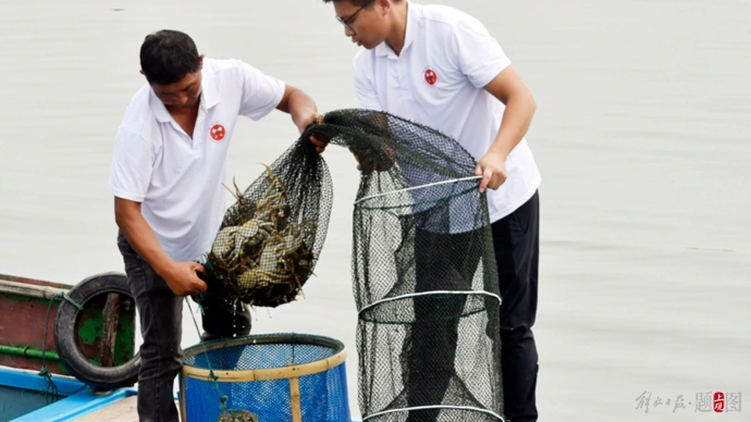 阳澄湖大闸蟹今开捕：产量提高，蟹扣首次采用AI点码防伪技术