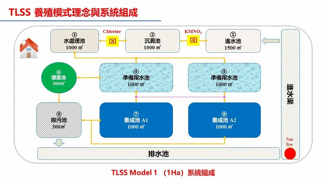 军鱼养殖难吗_养殖军鱼致富_致富养殖军鱼视频大全