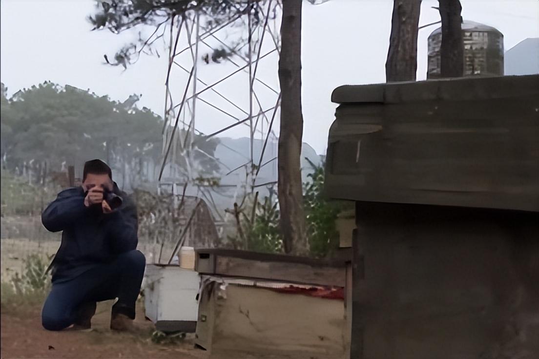 深圳哪里有养蜜蜂卖_深圳蜜蜂养殖致富_蜜蜂养殖业