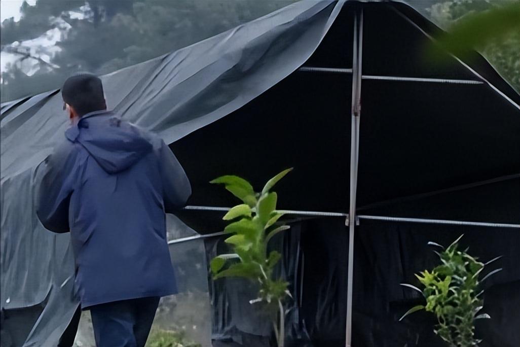 蜜蜂养殖业_深圳蜜蜂养殖致富_深圳哪里有养蜜蜂卖
