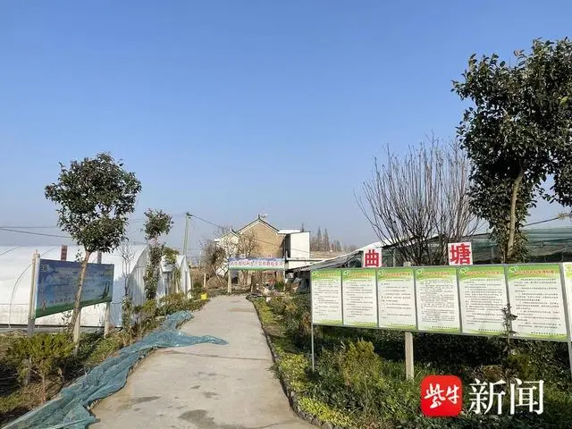 养殖东北野山鸡技术要求_野山鸡养殖技术视频_东北野山鸡养殖技术