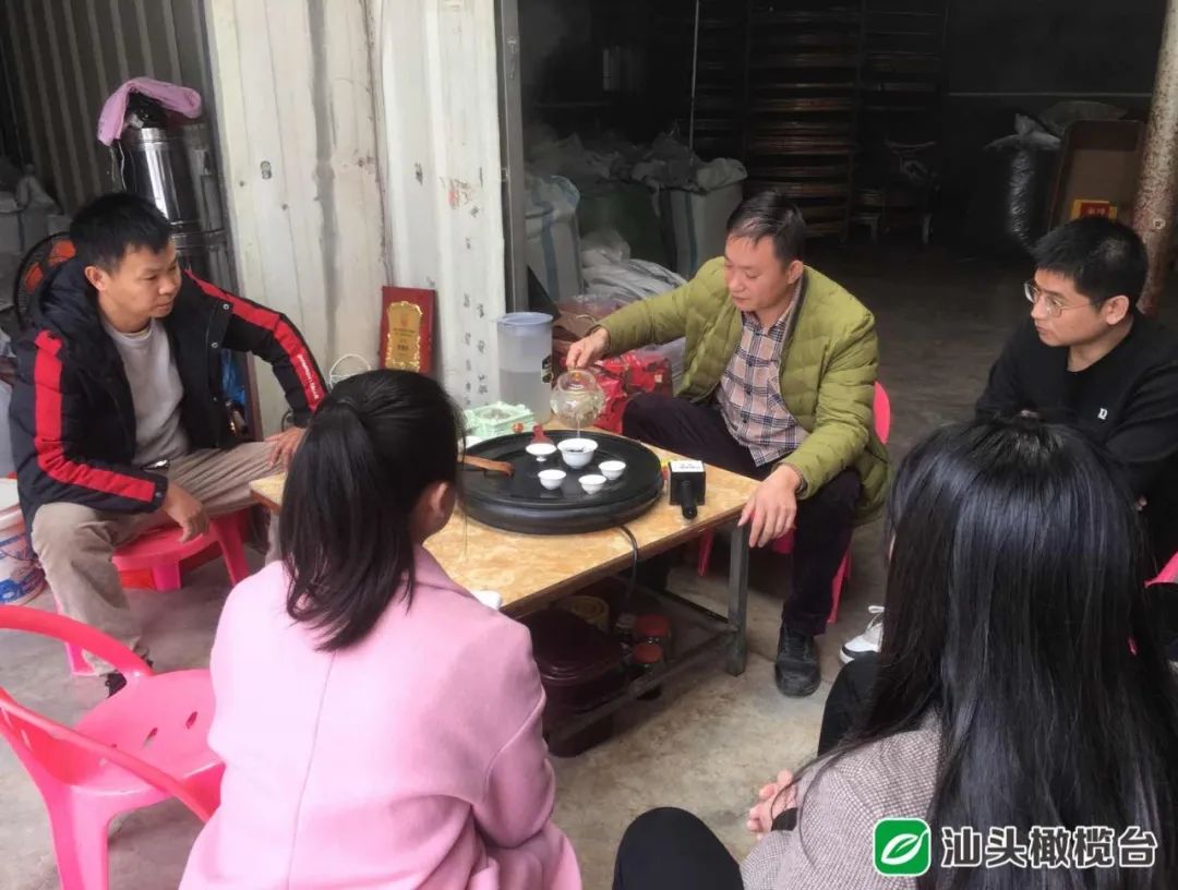 春茶开采_春茶亩产_春茶种植致富项目