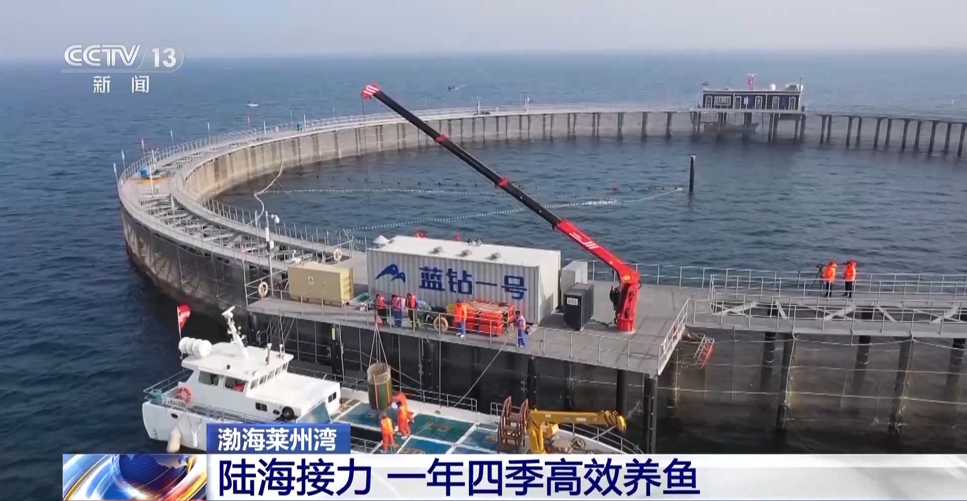 网箱养黑鱼苗视频_网箱养黑鱼每平方养几多_致富经网箱养黑鱼视频