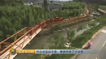 致富经龟_致富经cctv7龟视频_致富经龟养殖视频