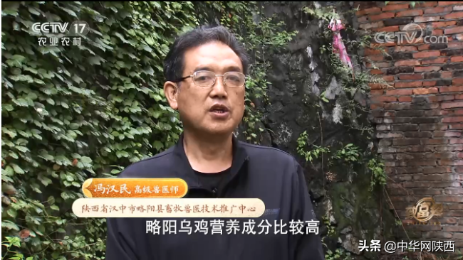 致富经cctv7龟视频_致富经龟_cctv7致富