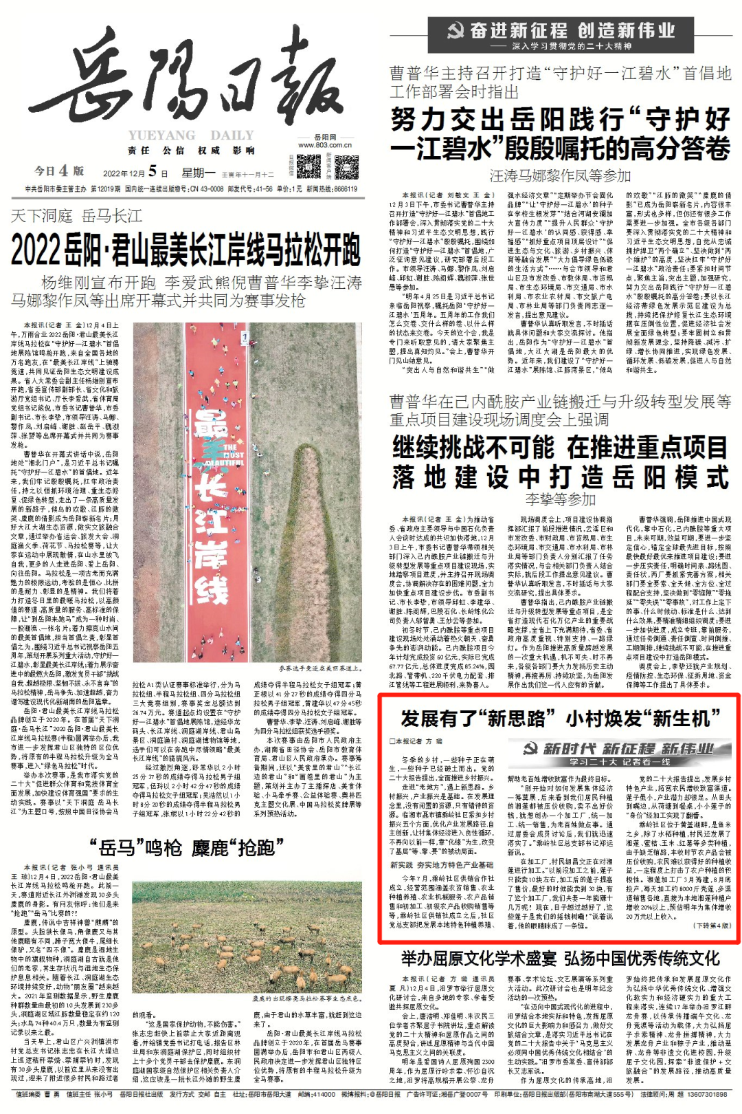 种植莲子的效益怎么样_致富经种植莲子_致富莲子种植技术视频