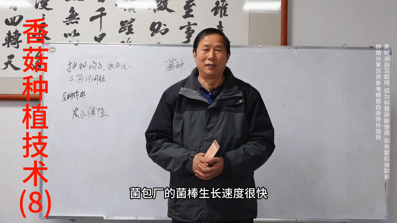蘑菇种植效益如何_致富蘑菇种植方法_蘑菇致富种植方法视频