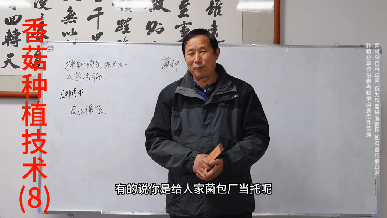蘑菇种植效益如何_蘑菇致富种植方法视频_致富蘑菇种植方法