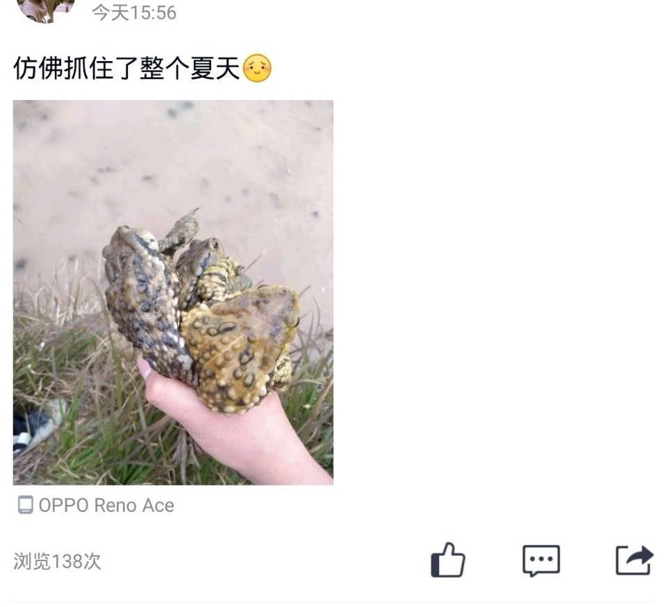 致富经蟾衣致富的能人_致富经蟾衣致富的能人_致富经蟾衣致富的能人