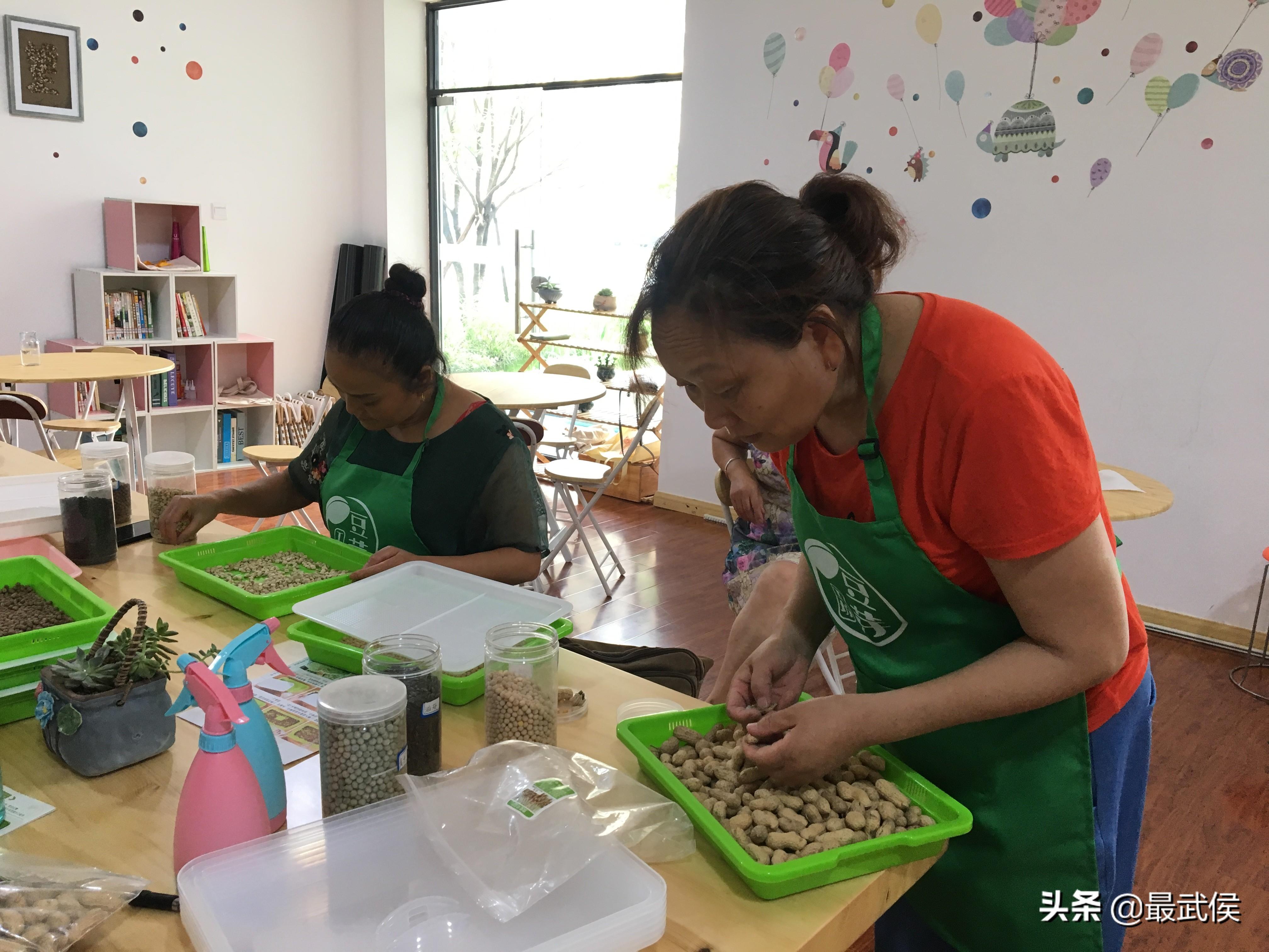致富经豆芽工厂化生产视频_豆芽创业致富_致富经有豆芽视频