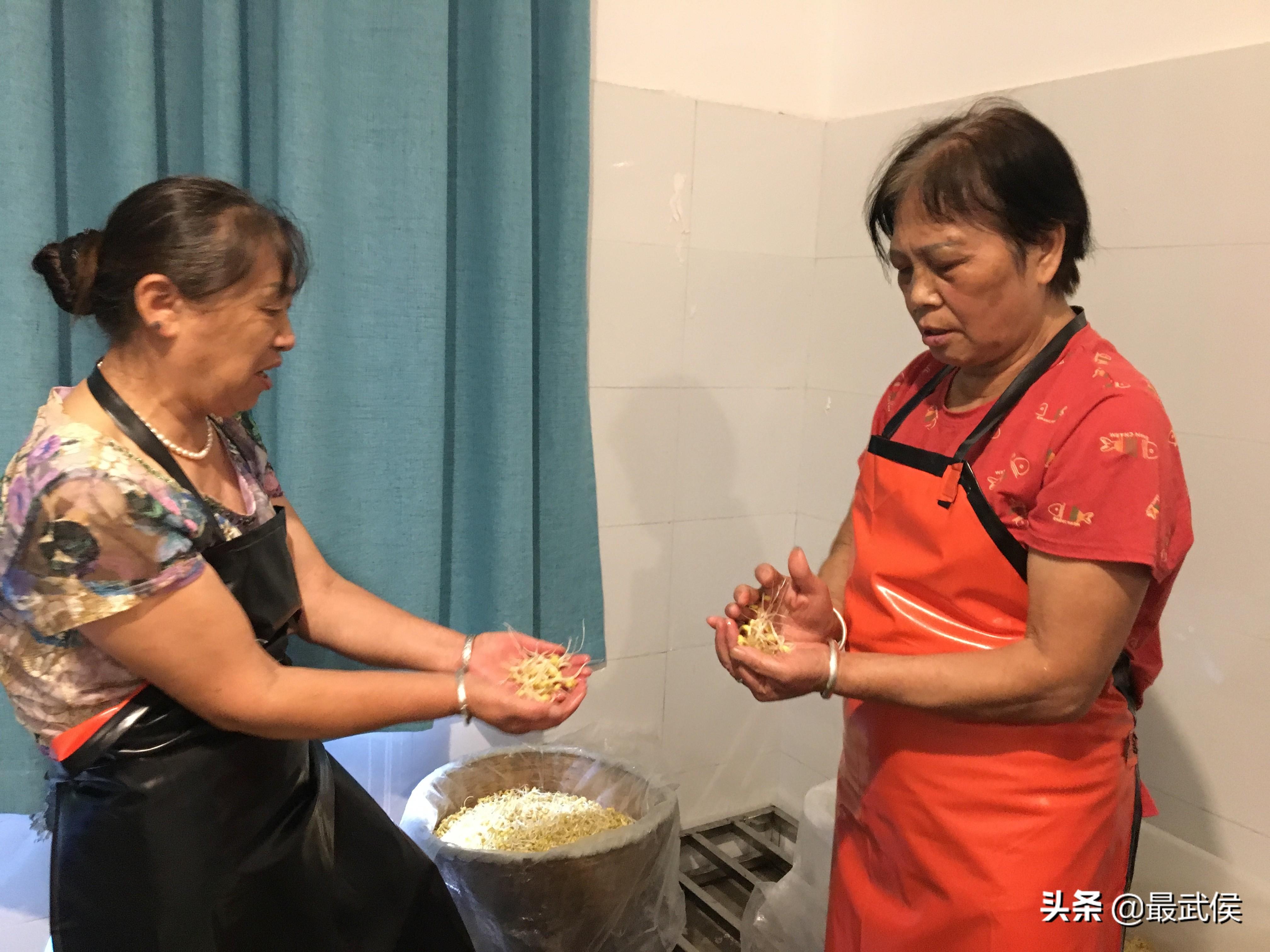 致富经有豆芽视频_豆芽创业致富_致富经豆芽工厂化生产视频