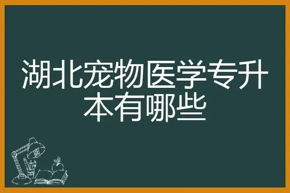 宠物医疗技术可以专升本不-第3张图片-济宁挖掘机培训学校