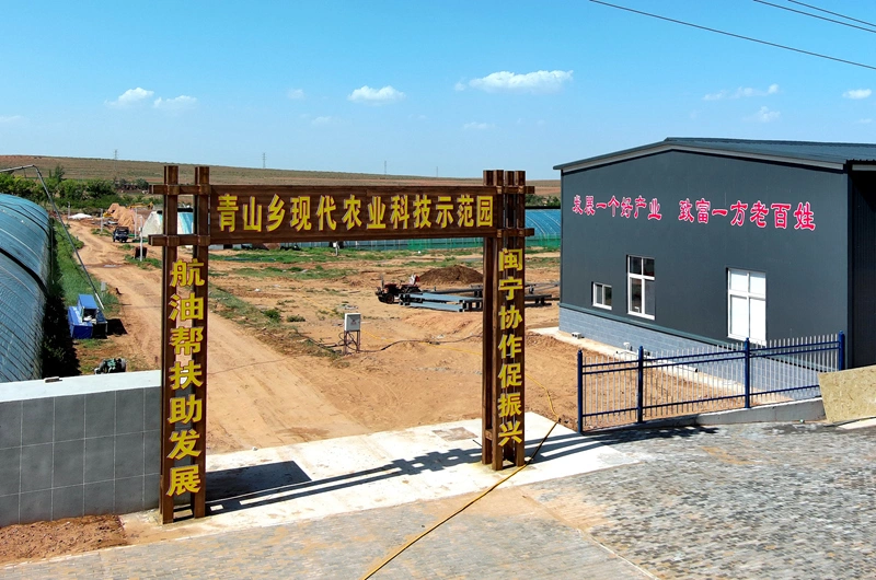 宁夏盐池：芝麻香瓜变致富“金瓜”