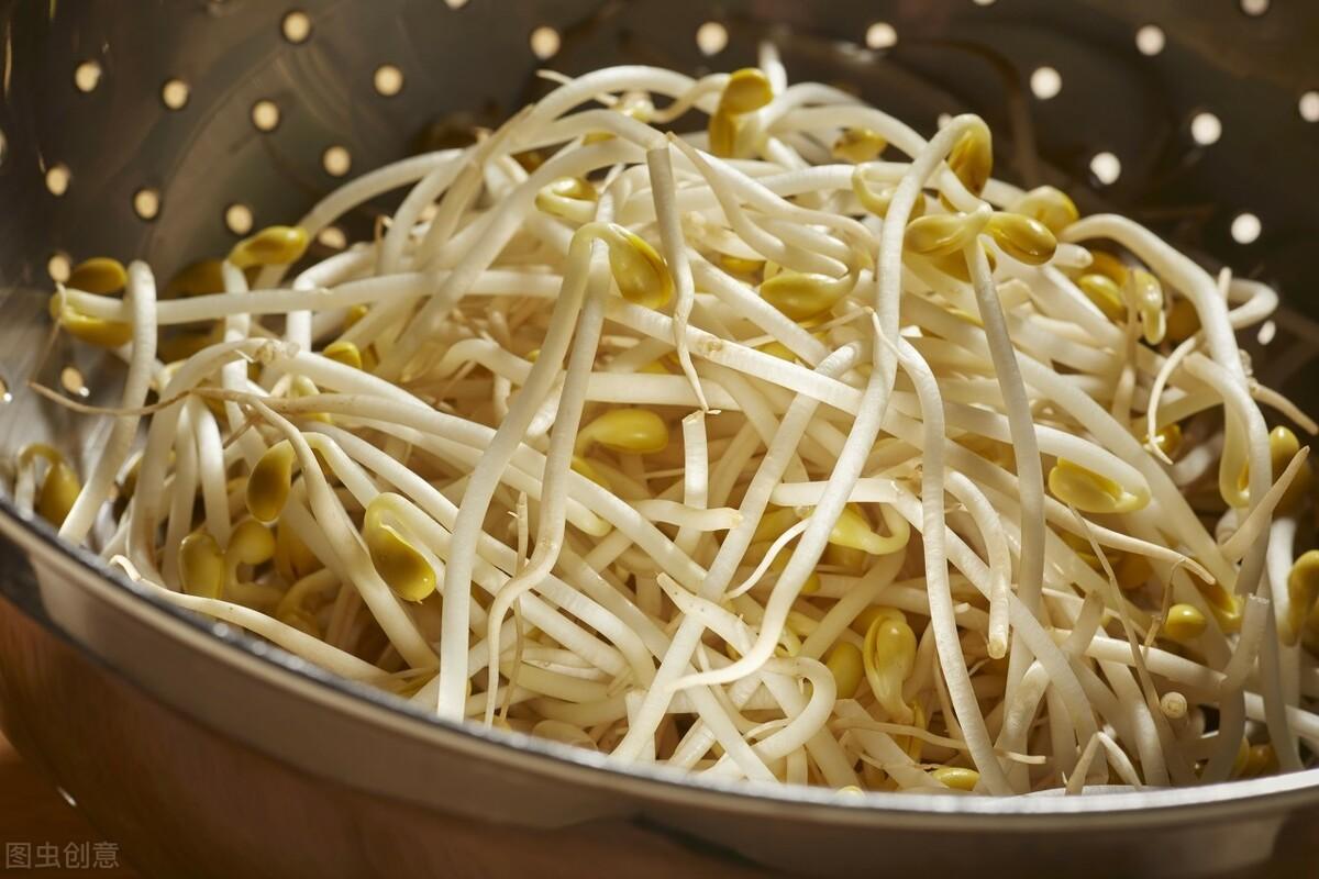 致富经有豆芽视频_豆芽视频赚钱_致富经豆芽