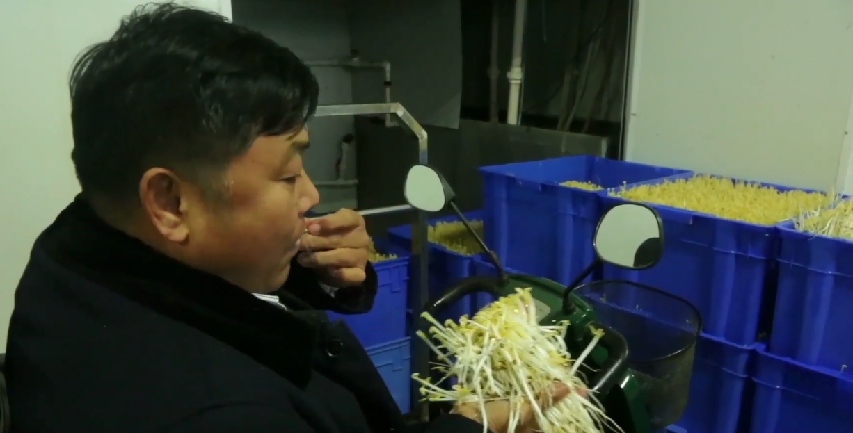 致富经有豆芽视频_致富经豆芽_豆芽视频赚钱