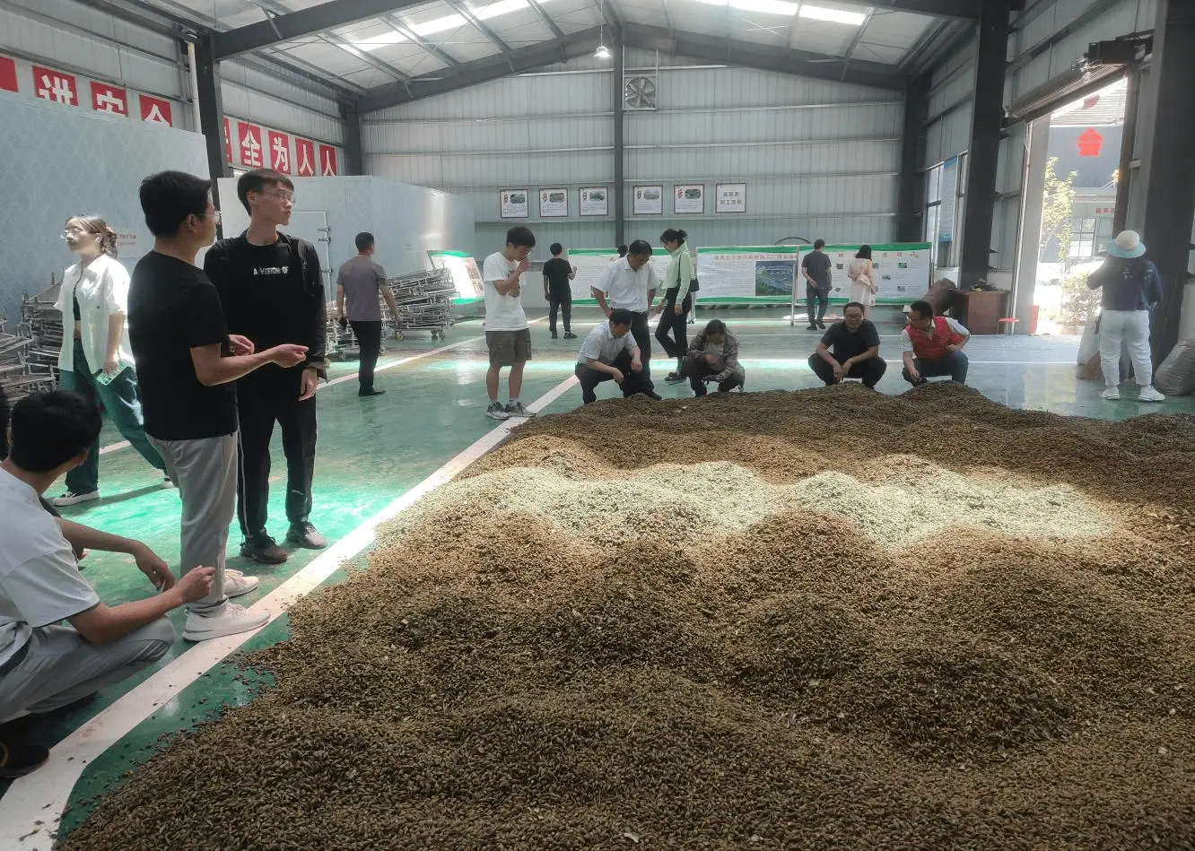 连翘种植骗局_致富案例种植连翘视频_连翘种植致富案例